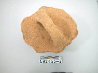 藏品(紅色粗砂陶蓋)的圖片